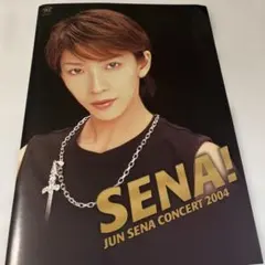 瀬奈じゅん JUN SENA パーソナルブック 写真集 タカラヅカMOOK 宝塚