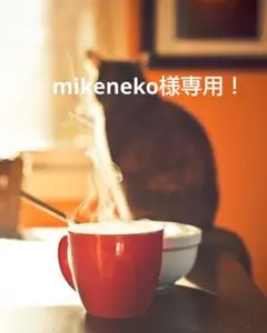 mikenekoさま専用！