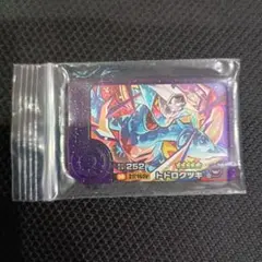 フレンダ　トドロクツキ　テラスタル　ポケモンフレンダ　スーパートレジャー　星5