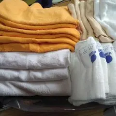 Item thumbnail for item 8df08ab6-7c75-4f50-a67a-31e0ed66d292