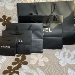 CHANEL ショップ袋 5種類セット