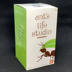 2025年最新】アンツライフスタジオの人気アイテム - メルカリ