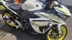ヤマハ YZF-R25 RG10J 低走行 バイク タイヤバリ溝 車体 埼玉 - メルカリ