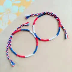 ミサンガ　２本　トリコロール T(281)　(お好きな色でもOK)