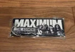 2025年最新】マキシマムザホルモン フライトタグの人気アイテム - メルカリ