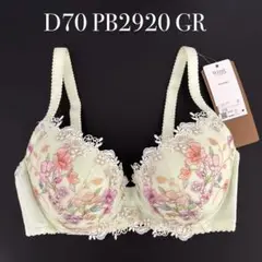 D70 PB2920 GRワコール　ウイング　レシアージュ
