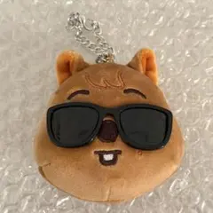 straykids RUN IT スキズ フェイスキーリング ハン ①