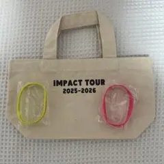 ラディカルフィットネス インパクトツアー　ノベルティグッズ