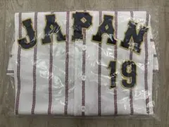 侍ジャパン ミズノ公式ユニフォーム 中日ドラゴンズ 高橋宏人 #19 Mサイズ