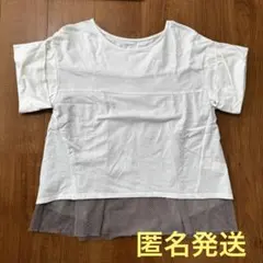simplicite サンプリシテ　Tシャツ　カットソー　白　フリーのサムネイル