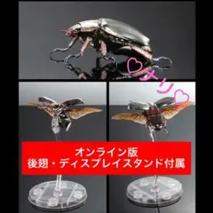 2026年最新】プラチナコガネ 標本の人気アイテム - メルカリ