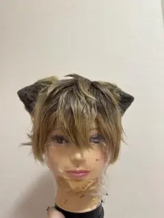 ◎ラギー・ブッチ ウィッグ◎セット済 ツイステ 耳付き - メルカリ