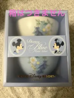 【新品未使用】Disney Blue Ever After 食器セット ペア茶碗