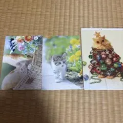 AVANTI 猫のポストカード 3枚セット
