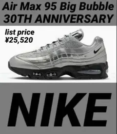 【30th】Nike Air Max95 Big Bubble M.Silver