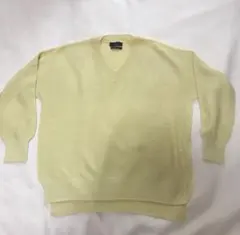 INED Vネックセーター 長袖