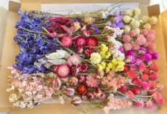 ドライフラワー ガーデニング