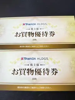 ヤマダ電機株主優待 お買物優待券 10000円分