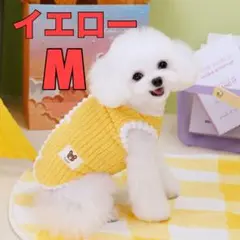 Item thumbnail for item ea0a624c-6723-4405-b82a-afe5d64edc41