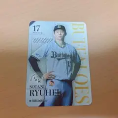 オリックス アイロベ 曽谷龍平