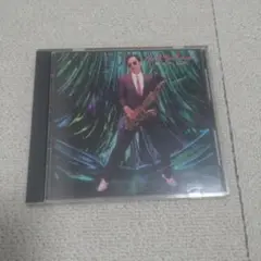 上田正樹 抱きしめたい CD