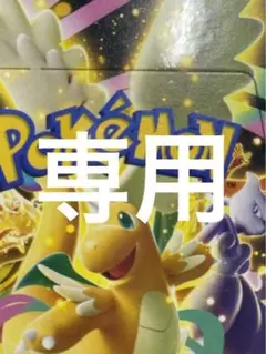 りー　さん専用