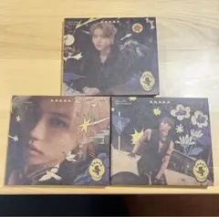 straykids スキズ　5star デジパ