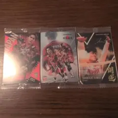 日本代表 2025 バレーボールカードセット