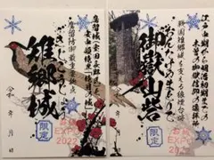 Item thumbnail for item 66ccde3f-084b-4b1f-a933-21215aab8a7f