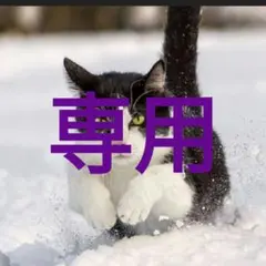 EUプロフ必読 様専用のサムネイル