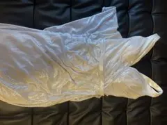 JEAN MACLEAN シルバー ナイトドレス (普段S着用)