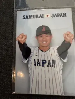 ラスト1点‼️侍ジャパン ブロマイド 森下翔太