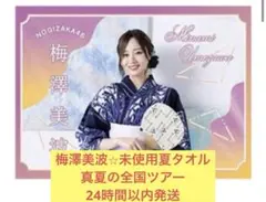 梅澤美波 미사용 夏タオル サマータオル 真夏の全国ツアー 乃木坂46