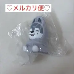 にゃむ太郎様 リクエスト 2点 まとめ商品