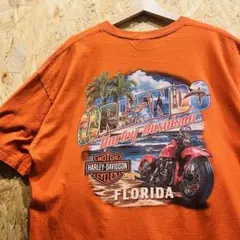 USA製 CHESWICK ロードランナー Tシャツ XL 豪華バックプリント - メルカリ