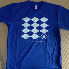 【VFKファン必見！】ヴァンフォーレ甲府J1F初戦記念Tシャツ ヴァンフォーレ甲府☆VENTFORET KOFU☆J2優勝記念Tシャツ☆L