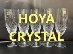 HOYA クリスタルグラス　ワイングラス　シャンパングラス　5客　未使用品