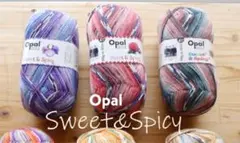 【Opal】Sweet & Spicy オパール毛糸-8611