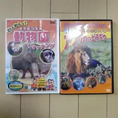 DVD2点セット