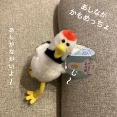 あしながかもめっちゃ　ぬいぐるみマスコット♡新品未使用