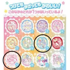 サンリオキャラクターズキラキラBIG缶バッジ２点セット