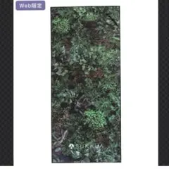 2025年最新】スカーラ ボタニカルの人気アイテム - メルカリ