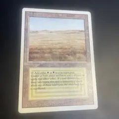 2025年最新】サバンナ mtgの人気アイテム - メルカリ