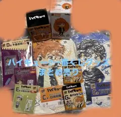 ハイキュー!!一番くじグッズまとめ売り9点セット