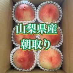 b 98 山梨県　桃　家庭用　5～7玉のサムネイル