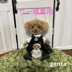 羊毛フェルトチビ人形　りー様専用