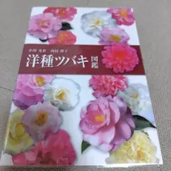 洋種ツバキ図鑑