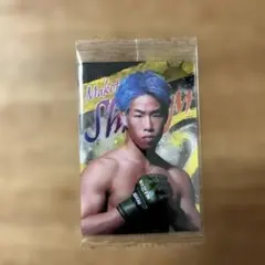 Item thumbnail for item edb13c6b-2272-4bdc-9484-9863754b77e4