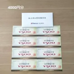 ヤマダ電機 株主様お買い物優待券 4000円分