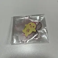 ジャイアンツ　アクリルキーホルダー　スプリング　カメット　亀井義行
